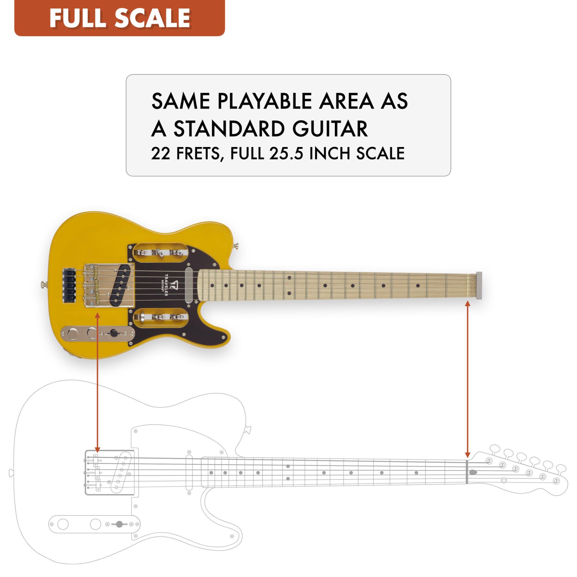 EG-3 Standard Butterscotch Blonde